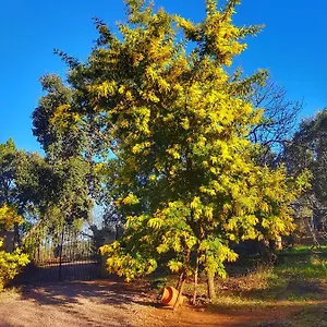 Сasa de vacaciones La Viriñuela